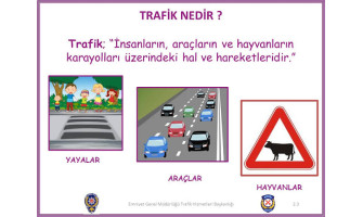 Trafik Nedir